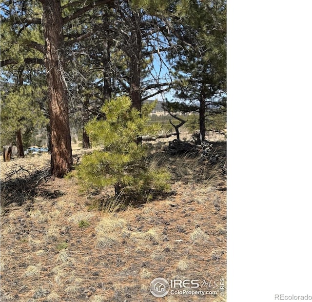 2841 Singletree Rd, Hartsel, CO 80449
