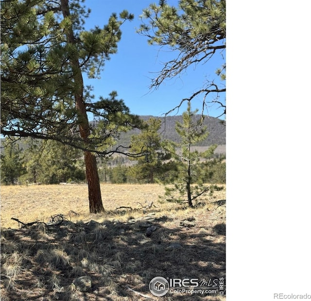 2841 Singletree Rd, Hartsel, CO 80449
