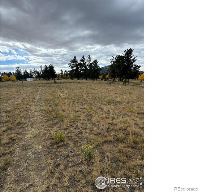 2841 Singletree Rd, Hartsel, CO 80449