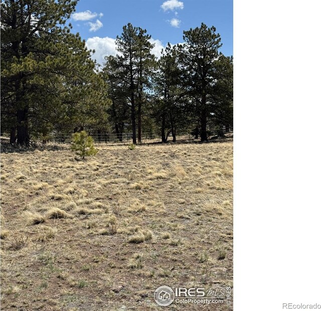 2841 Singletree Rd, Hartsel, CO 80449
