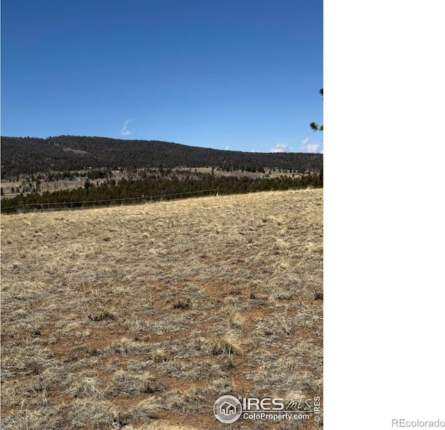 2841 Singletree Rd, Hartsel, CO 80449