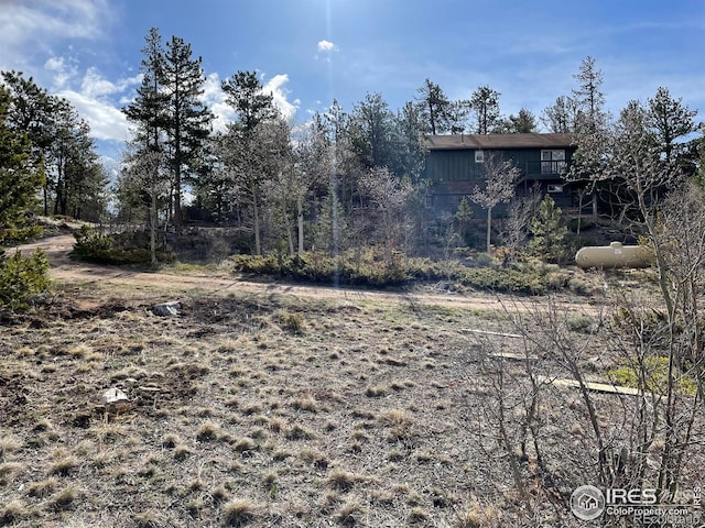 134 Swift Deer Rd, Red Feather Lakes, CO 80545 - view of yard