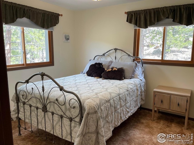 134 Swift Deer Rd, Red Feather Lakes, CO 80545 - carpeted bedroom with multiple windows and radiator