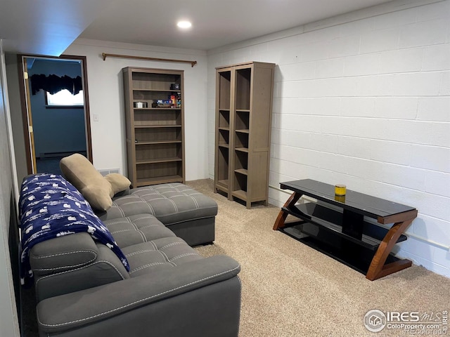 134 Swift Deer Rd, Red Feather Lakes, CO 80545 - living room featuring carpet flooring