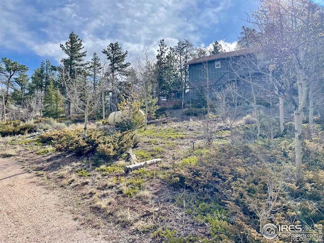 134 Swift Deer Rd, Red Feather Lakes, CO 80545 - view of yard