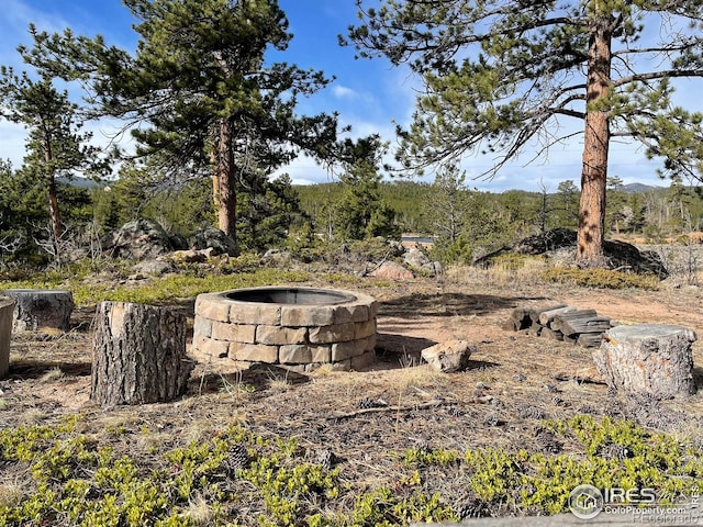 134 Swift Deer Rd, Red Feather Lakes, CO 80545 - view of yard
