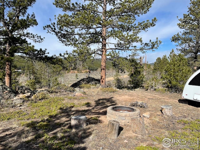 134 Swift Deer Rd, Red Feather Lakes, CO 80545 - view of yard with an outdoor fire pit