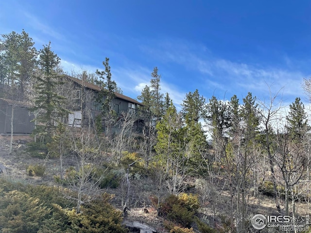 134 Swift Deer Rd, Red Feather Lakes, CO 80545 - view of yard