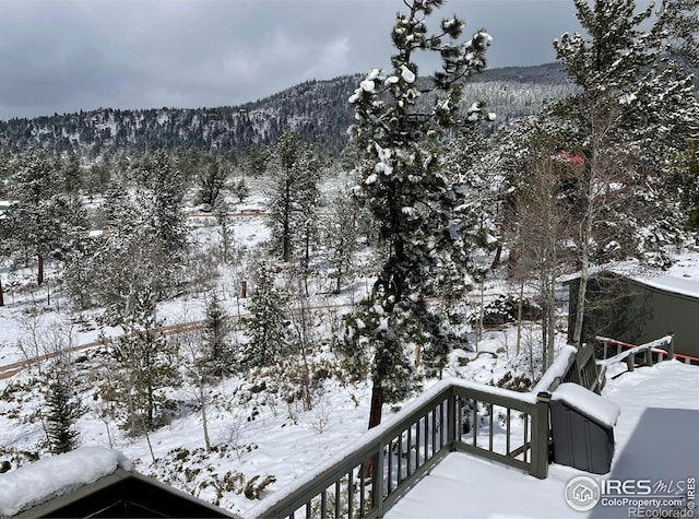 134 Swift Deer Rd, Red Feather Lakes, CO 80545 - view of mountain background