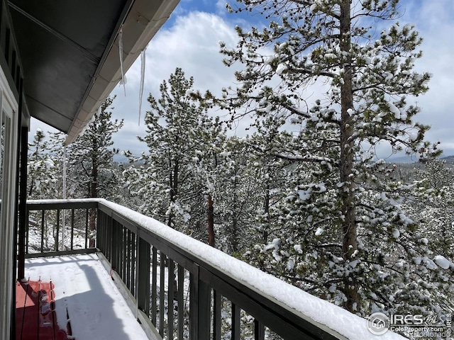 134 Swift Deer Rd, Red Feather Lakes, CO 80545 - view of snow covered back of property