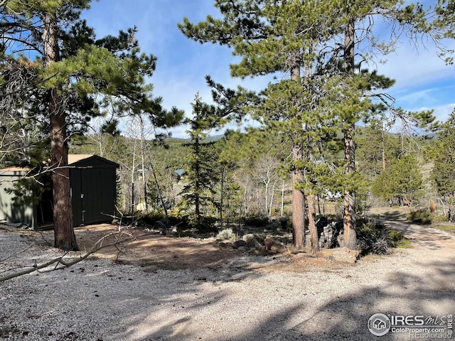 134 Swift Deer Rd, Red Feather Lakes, CO 80545 - view of yard with a shed and an outdoor structure