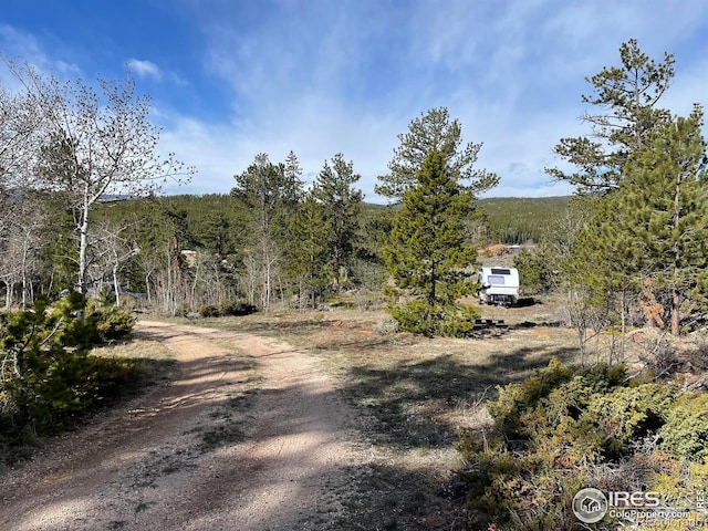 134 Swift Deer Rd, Red Feather Lakes, CO 80545 - view of dirt / gravel road featuring a view of trees