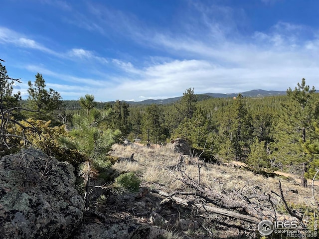134 Swift Deer Rd, Red Feather Lakes, CO 80545 - view of mountain background featuring a forest