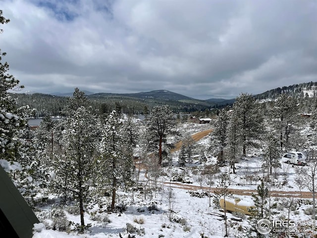 134 Swift Deer Rd, Red Feather Lakes, CO 80545 - view of mountain background