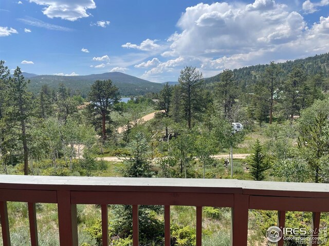 134 Swift Deer Rd, Red Feather Lakes, CO 80545 - photo 23