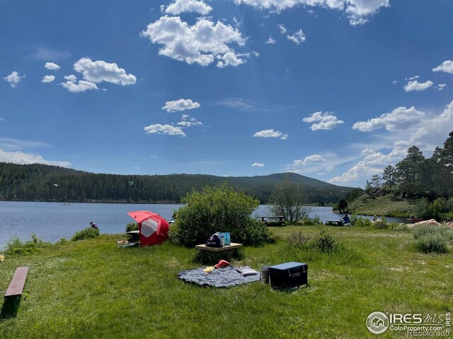 134 Swift Deer Rd, Red Feather Lakes, CO 80545 - photo 38