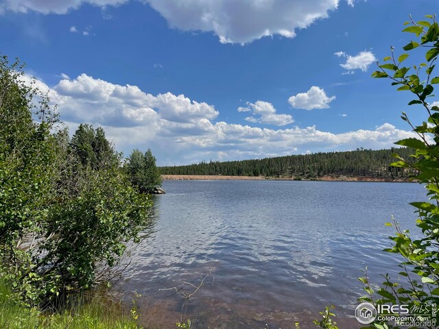 134 Swift Deer Rd, Red Feather Lakes, CO 80545 - photo 36