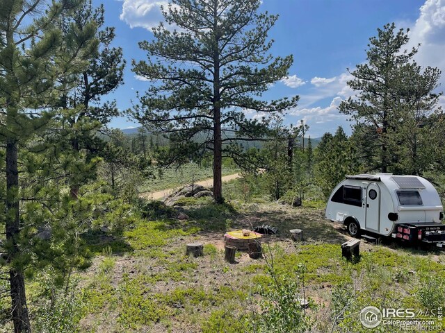 134 Swift Deer Rd, Red Feather Lakes, CO 80545 - photo 33