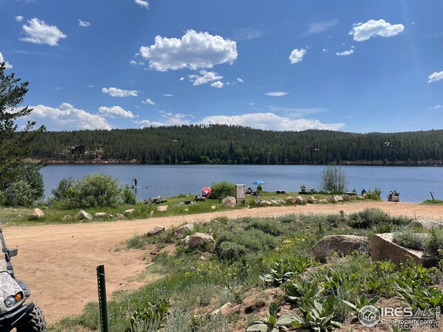 134 Swift Deer Rd, Red Feather Lakes, CO 80545 - photo 37