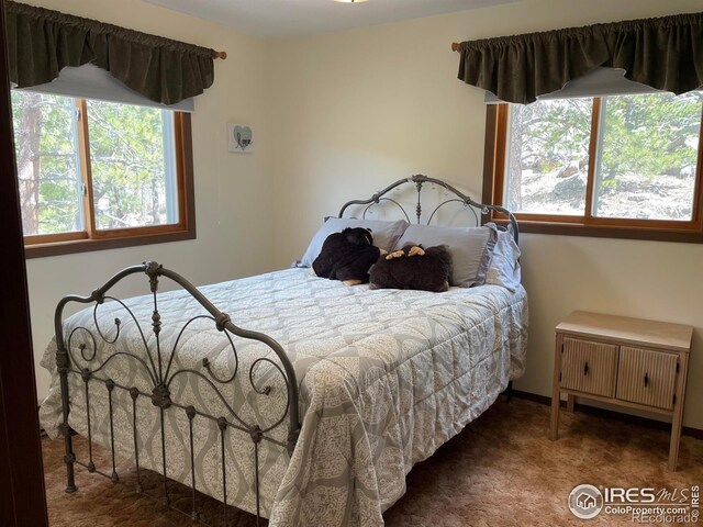 134 Swift Deer Rd, Red Feather Lakes, CO 80545 - photo 8
