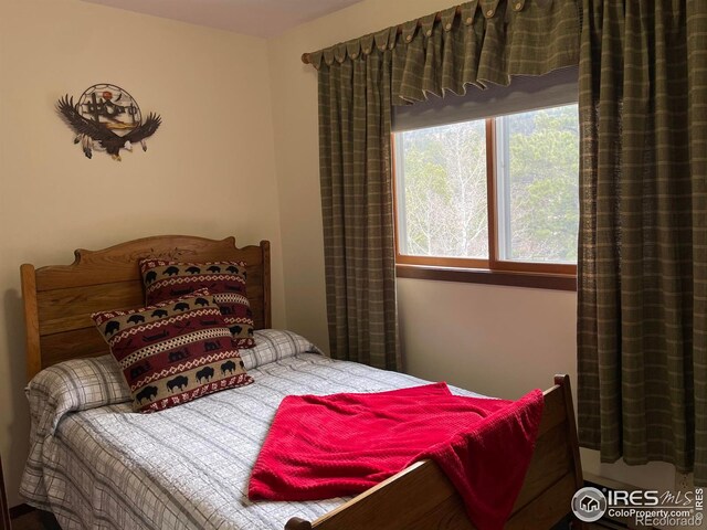 134 Swift Deer Rd, Red Feather Lakes, CO 80545 - photo 9