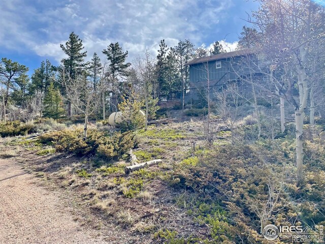134 Swift Deer Rd, Red Feather Lakes, CO 80545 - photo 18