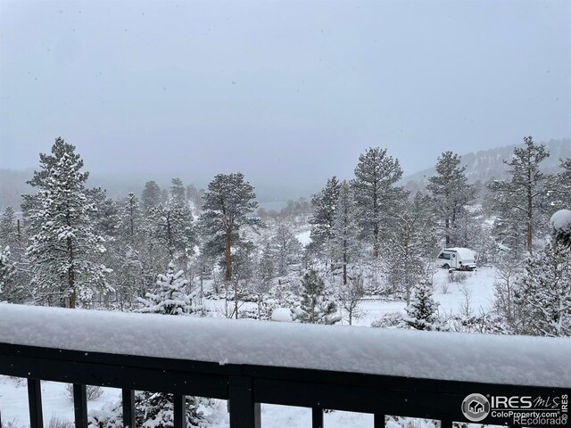 134 Swift Deer Rd, Red Feather Lakes, CO 80545 - photo 24