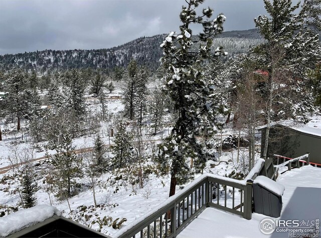134 Swift Deer Rd, Red Feather Lakes, CO 80545 - photo 25