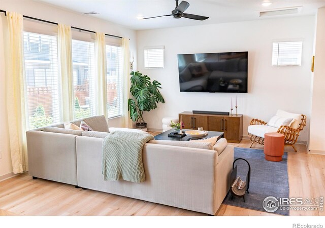 4424 Haymill Ct, Timnath, CO 80547 - living area with wood finished floors, plenty of natural light, a ceiling fan, and baseboards