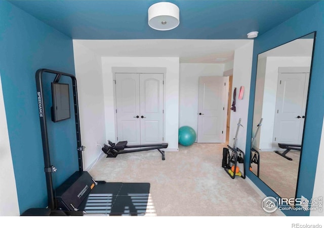 4424 Haymill Ct, Timnath, CO 80547 - workout area with carpet and baseboards