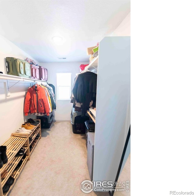 4424 Haymill Ct, Timnath, CO 80547 - spacious closet featuring light carpet