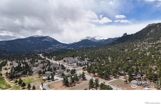 711 Eagle Ln, Estes Park, CO 80517 - mountain view