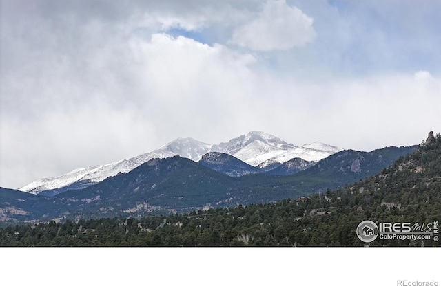 711 Eagle Ln, Estes Park, CO 80517 - property view of mountains with a wooded view