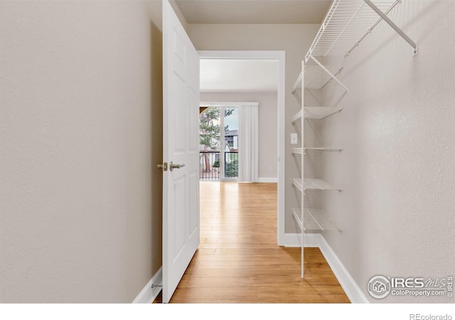 4500 Baseline Rd Unit 3203, Boulder, CO 80303 - walk in closet featuring light wood-style flooring