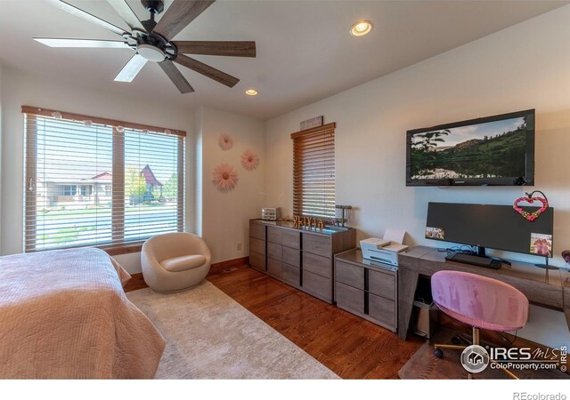 5751 Last Pointe Dr, Windsor, CO 80550 - bedroom with wood finished floors, an office area, recessed lighting, baseboards, and a ceiling fan