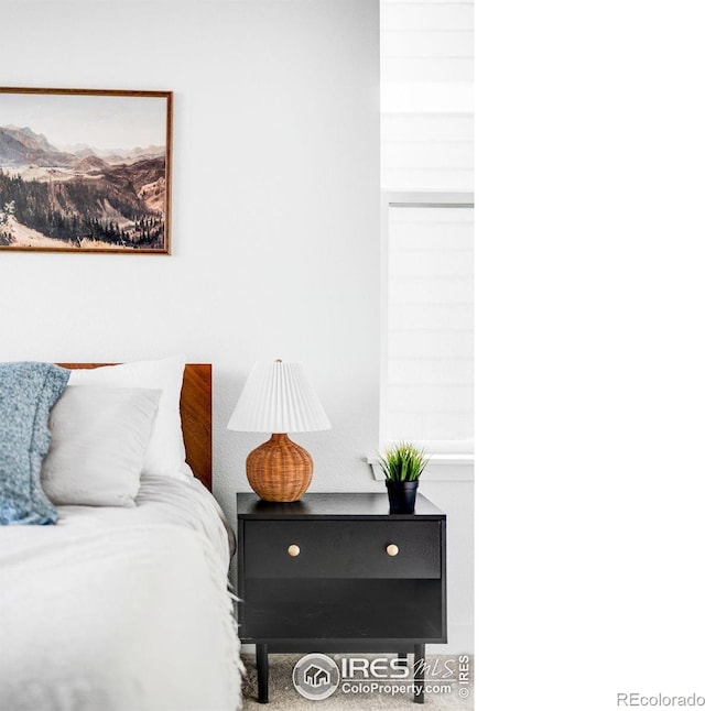 840 Clover Loop, Lafayette, CO 80026 - view of bedroom