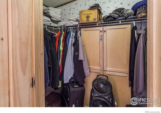 view of walk in closet
