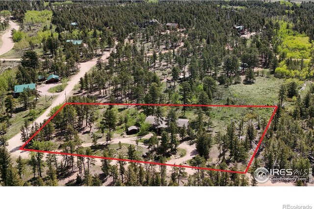 1701 Tesuque Trl, Red Feather Lakes, CO 80545 - photo 39