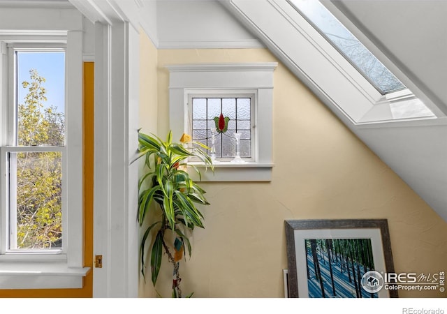 838 University Ave, Boulder, CO 80302 - room details featuring a skylight