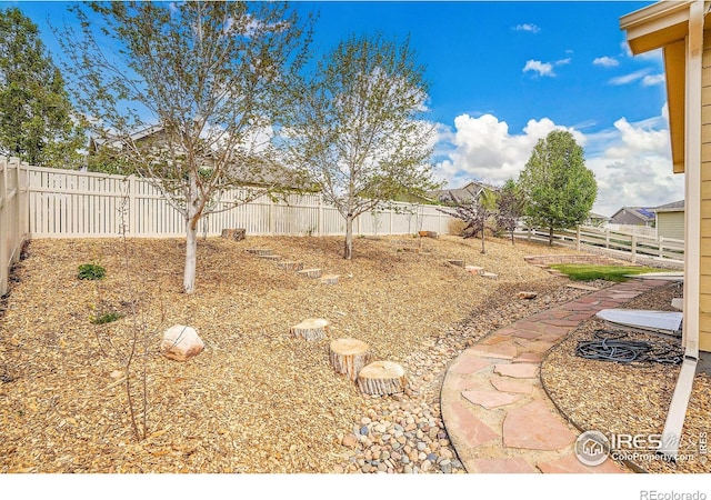view of yard with a fenced backyard