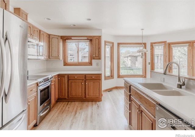 1609 Sherman Way, Longmont, CO 80501 - kitchen with stainless steel appliances, a wealth of natural light, a sink, and light wood-style floors