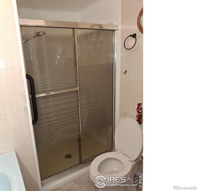 4202 Coronado St, Greeley, CO 80634 - full bath featuring toilet and a shower stall