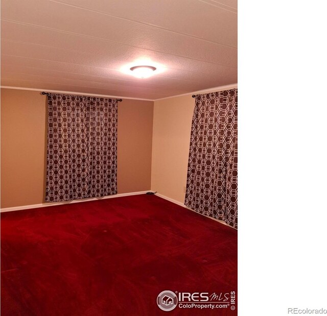 4202 Coronado St, Greeley, CO 80634 - carpeted spare room featuring baseboards, ornamental molding, and a textured ceiling