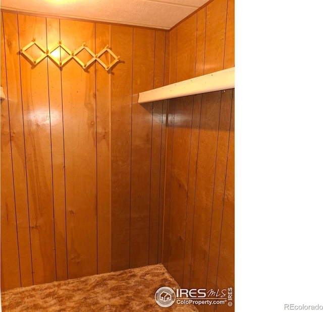 4202 Coronado St, Greeley, CO 80634 - interior details featuring wooden walls