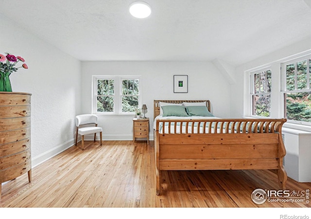 1025 5th St, Boulder, CO 80302 - bedroom featuring wood-type flooring, baseboards, and multiple windows