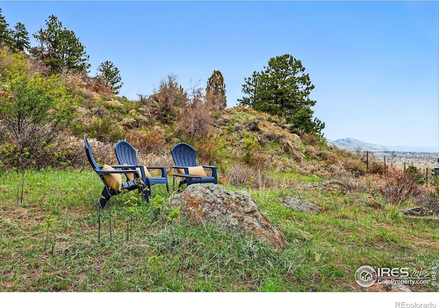 1025 5th St, Boulder, CO 80302 - view of yard