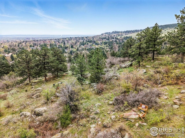 1025 5th St, Boulder, CO 80302 - view of nature with a forest view