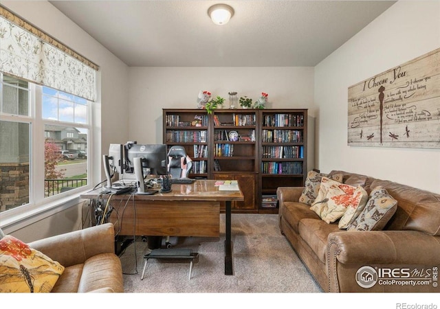 view of carpeted office