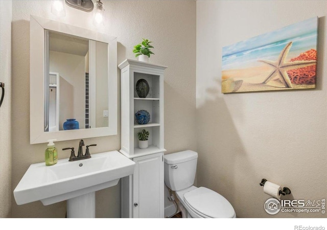 bathroom featuring a sink and toilet