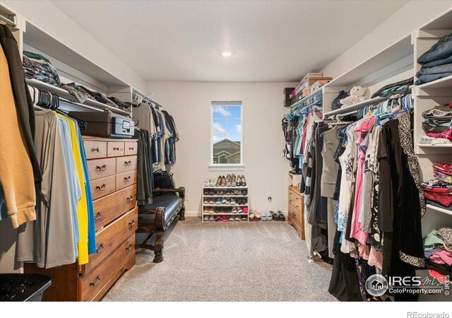walk in closet featuring carpet flooring